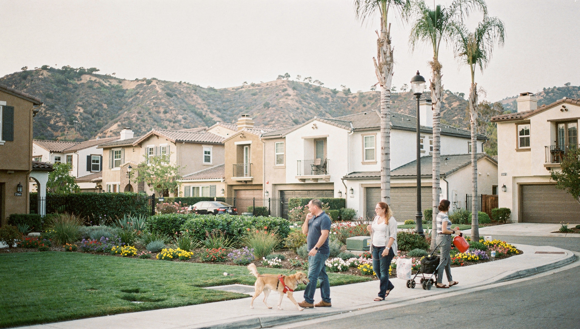Aliso Viejo planned community with modern townhomes, palm trees, and Aliso and Wood Canyons backdrop