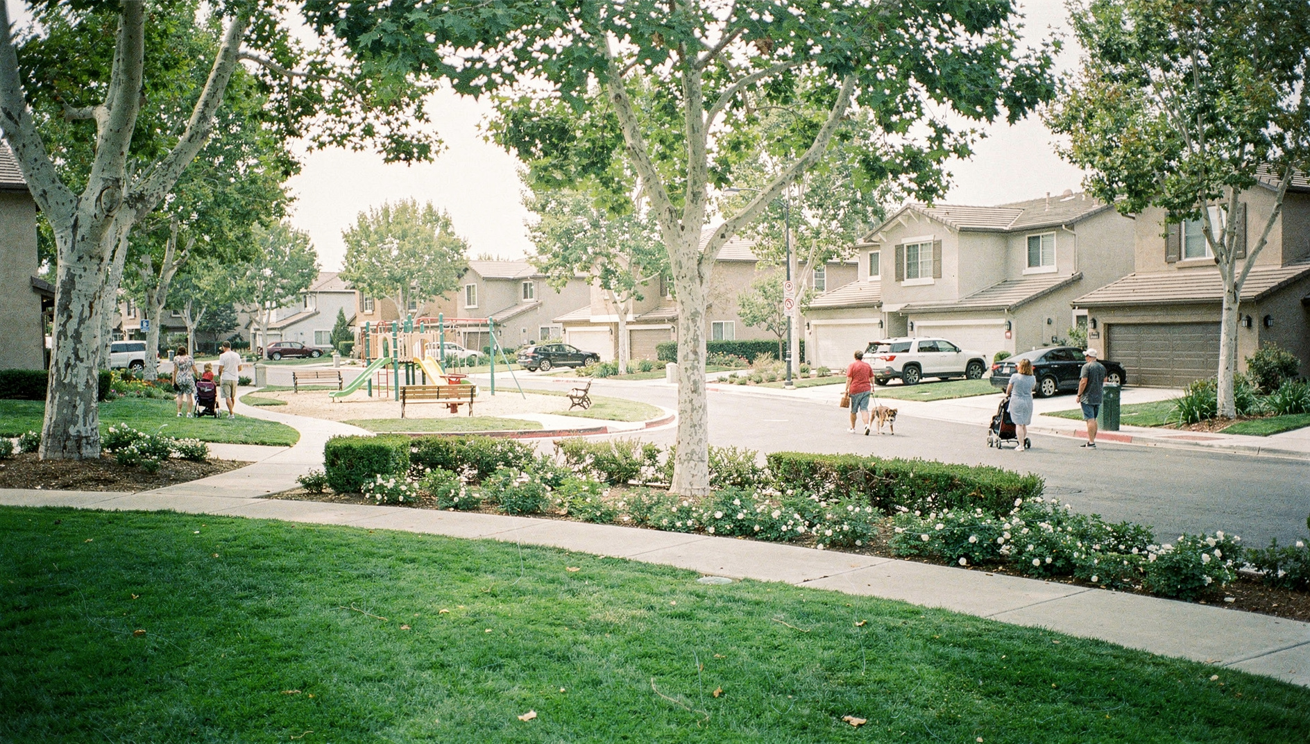 Irvine master-planned neighborhood with tree-lined streets, modern homes, and manicured greenbelts