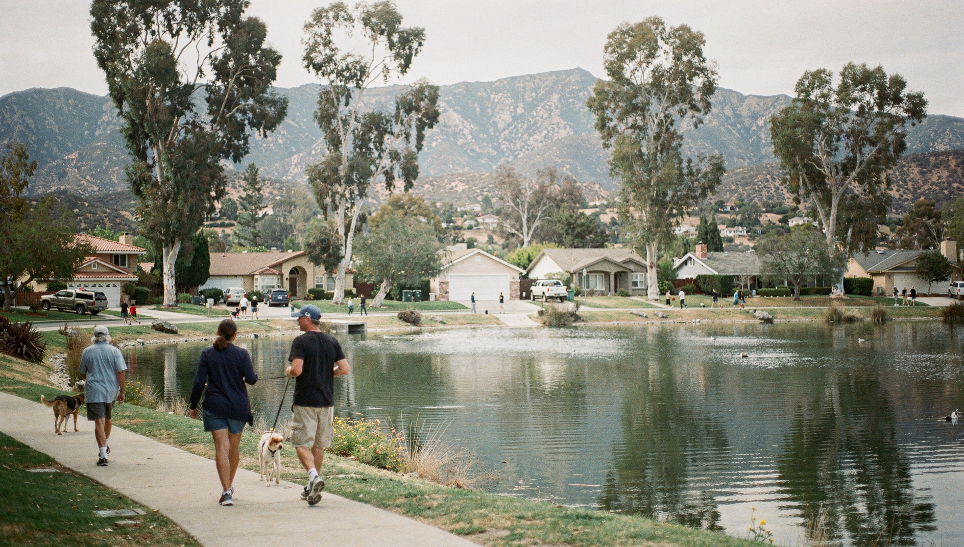 Lake Forest neighborhood with lake, eucalyptus trees, and foothill homes near Saddleback mountains