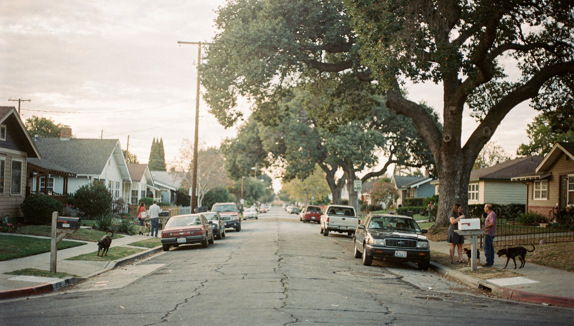 Tustin neighborhood with Old Town charm, tree-lined streets, and Tustin Ranch planned community